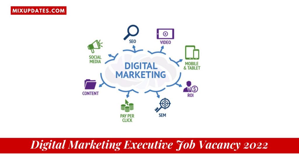 Digital Marketing Executive Job Vacancy 2022